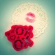Резец за сладки XO-XO